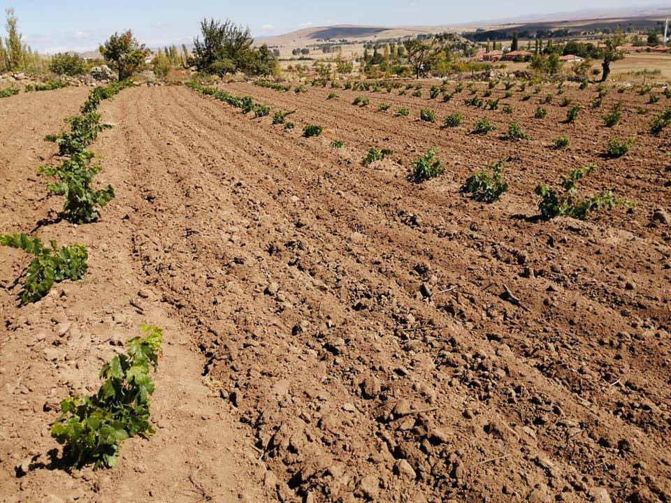Sorgun Şahmuratlı Köyü Resimleri 5