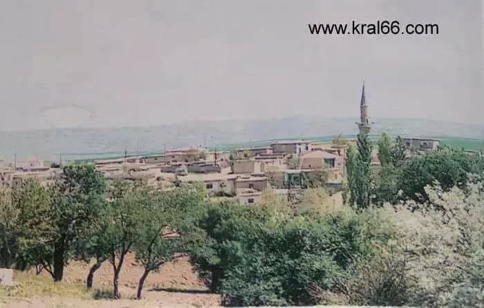 Şefaatli Alifakılı Köyü Resimleri 2