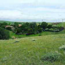 Şefaatli Gülpınar Köyü Resimleri 2