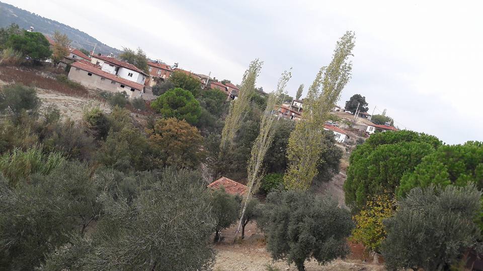 Akhisar Aşağıdolma Köyü Resimleri 13