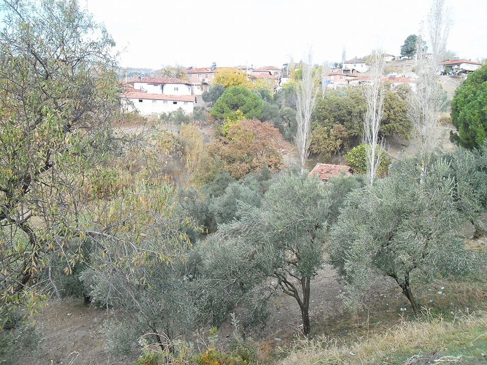 Akhisar Aşağıdolma Köyü Resimleri 17