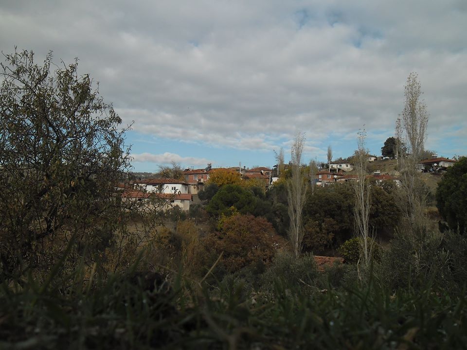 Akhisar Aşağıdolma Köyü Resimleri 18