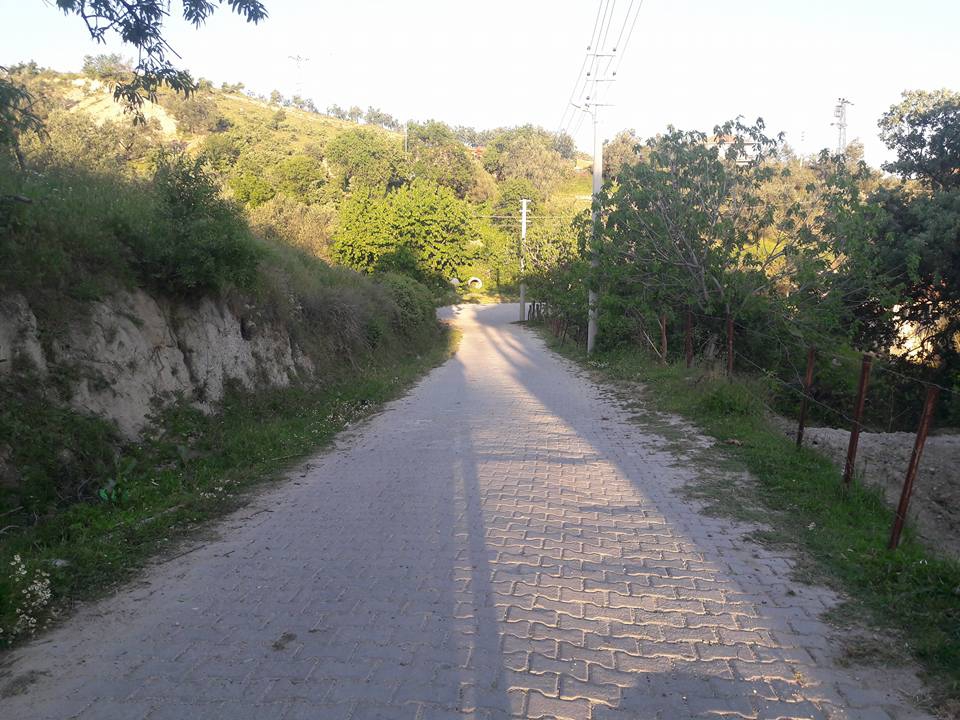 Akhisar Aşağıdolma Köyü Resimleri 19