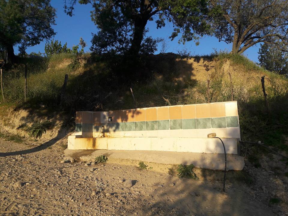 Akhisar Aşağıdolma Köyü Resimleri 20