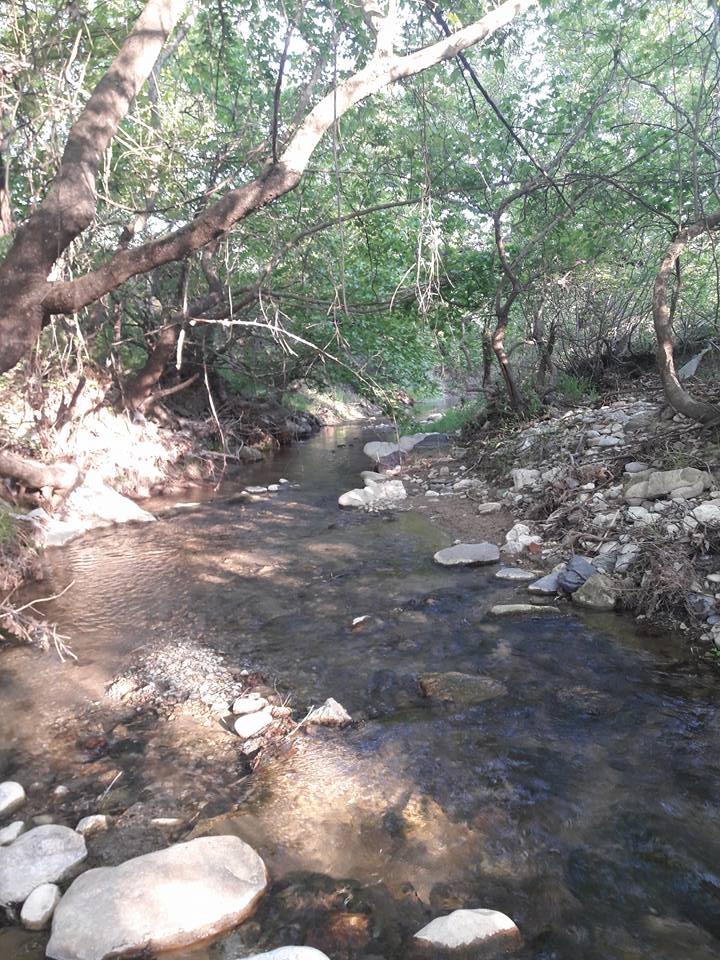 Akhisar Aşağıdolma Köyü Resimleri 21