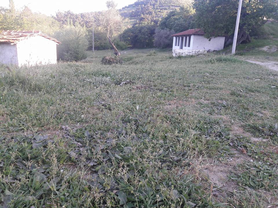 Akhisar Aşağıdolma Köyü Resimleri 24