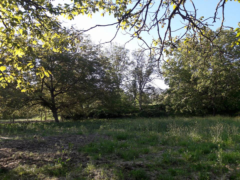 Akhisar Aşağıdolma Köyü Resimleri 25