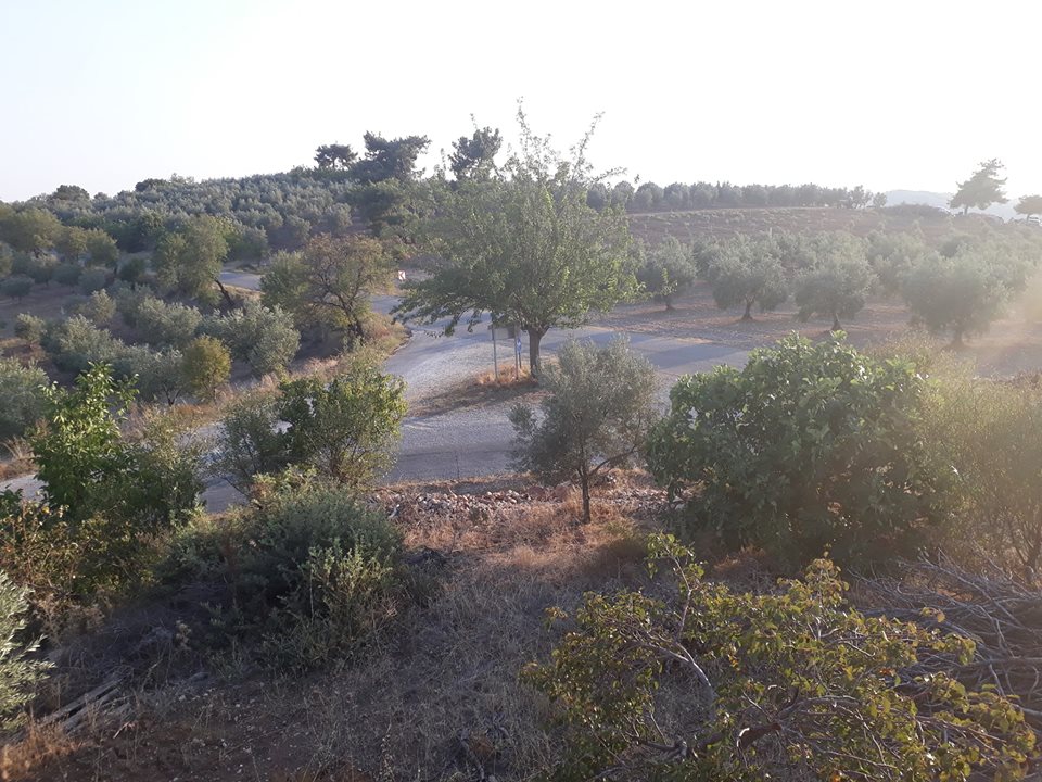 Akhisar Aşağıdolma Köyü Resimleri 26