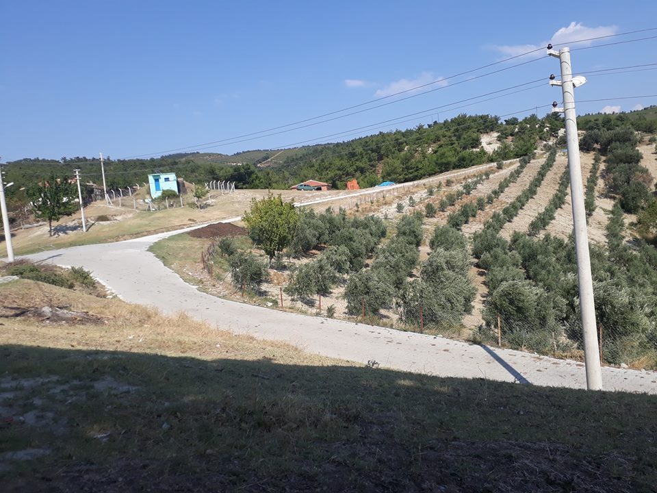 Akhisar Aşağıdolma Köyü Resimleri 28