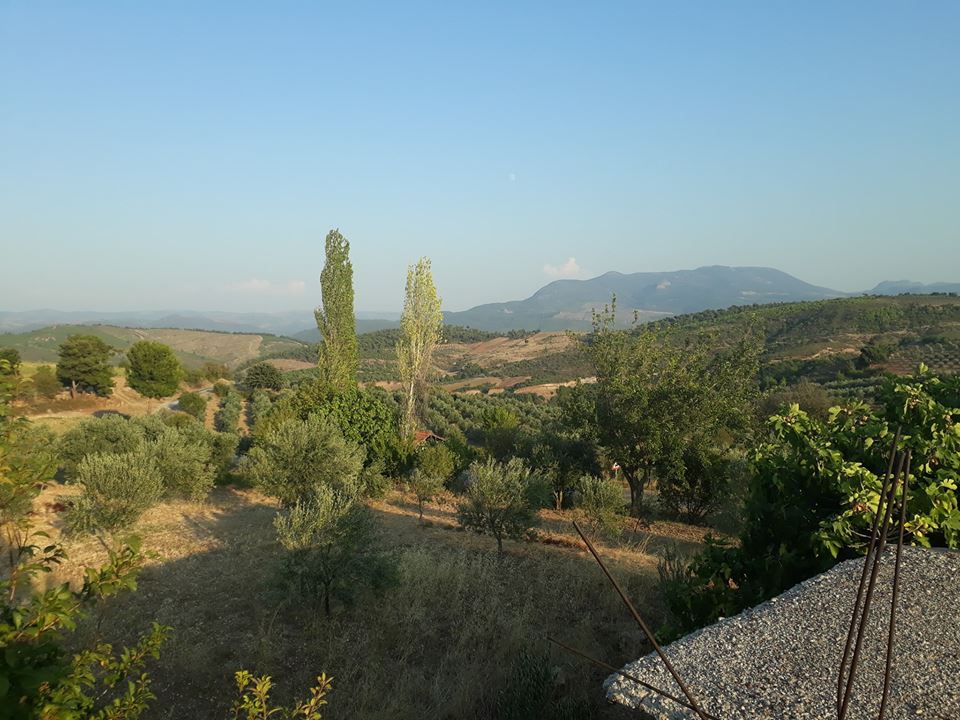 Akhisar Aşağıdolma Köyü Resimleri 29