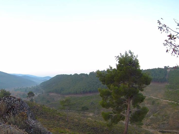 Akhisar Başlamış Köyü Resimleri 10