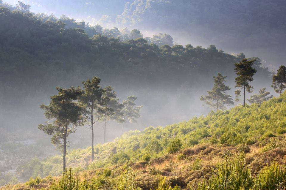 Akhisar Başlamış Köyü Resimleri 11