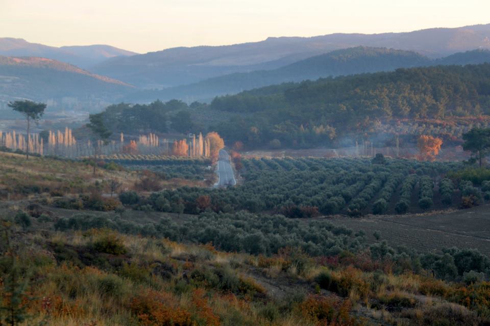Akhisar Başlamış Köyü Resimleri 12