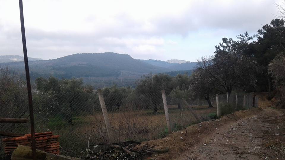 Akhisar Başlamış Köyü Resimleri 13