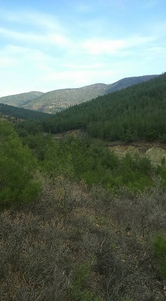 Akhisar Başlamış Köyü Resimleri 2