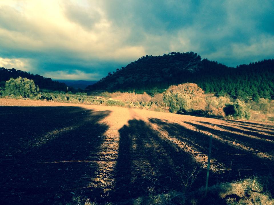 Akhisar Başlamış Köyü Resimleri 3