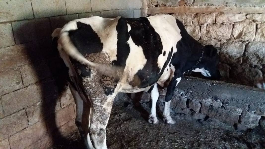 Gülnar Yarmasu Köyü Resimleri 5