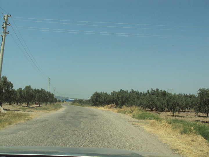 Akhisar Bekirler Köyü Resimleri 1