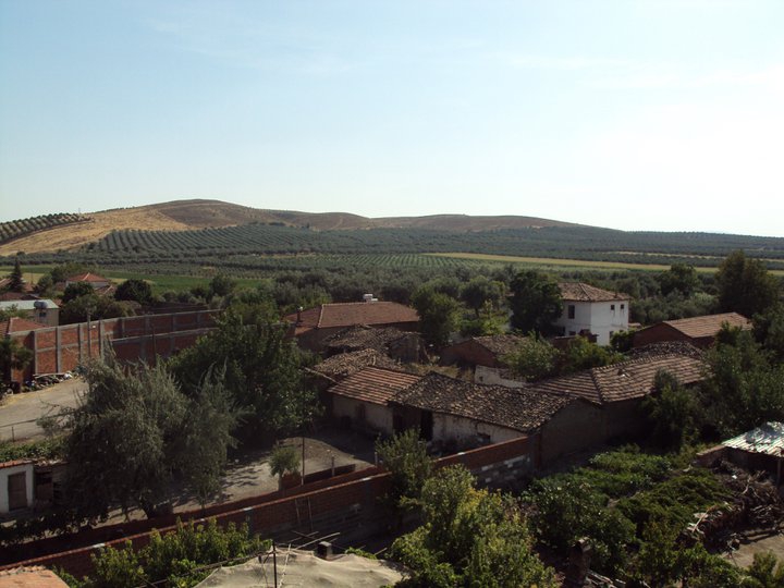 Akhisar Bekirler Köyü Resimleri 8