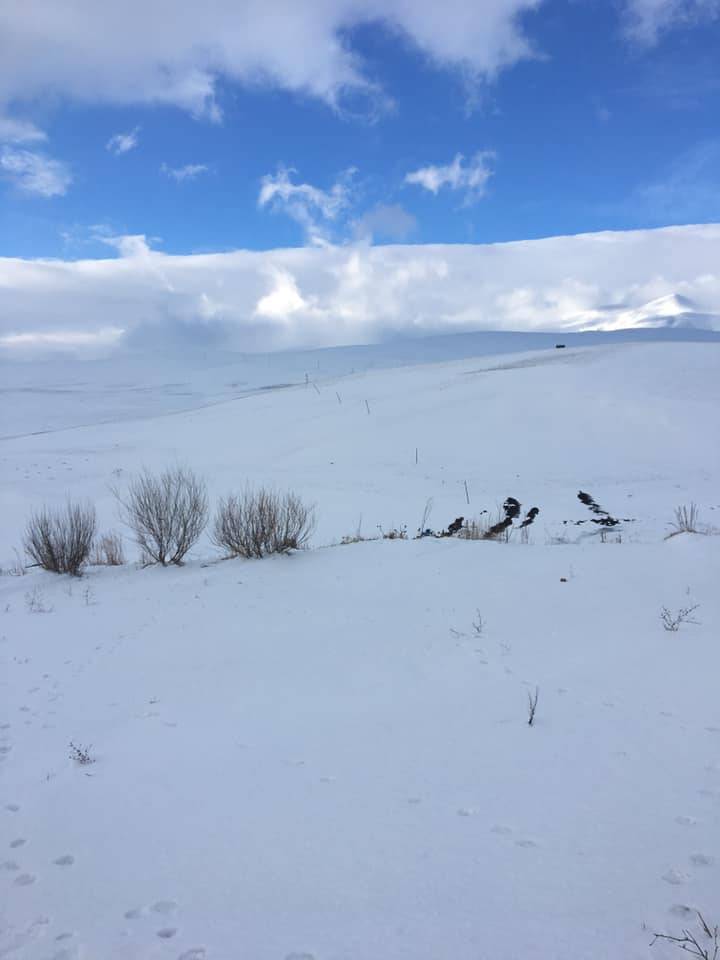 Tuzluca Canderviş Köyü Resimleri 4
