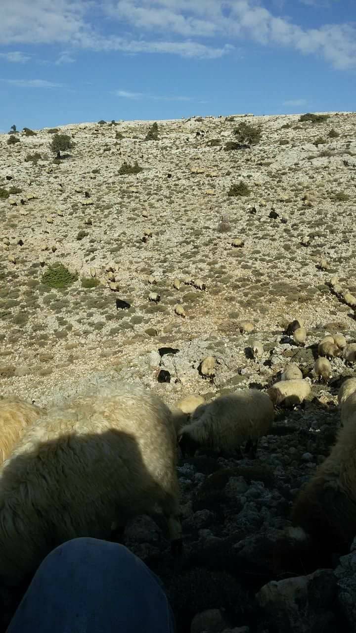 Mut Ballı Köyü Resimleri 3