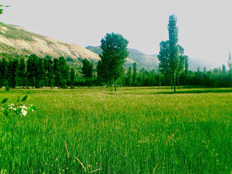 Mut Ballı Köyü Resimleri 6