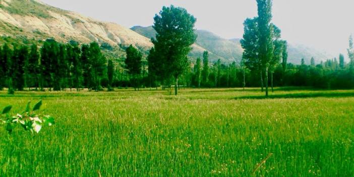 Mut Ballı Köyü Resimleri