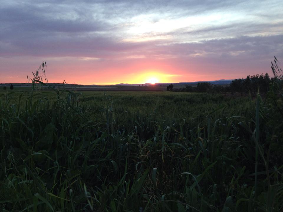 Akhisar Beyoba Köyü Resimleri 1