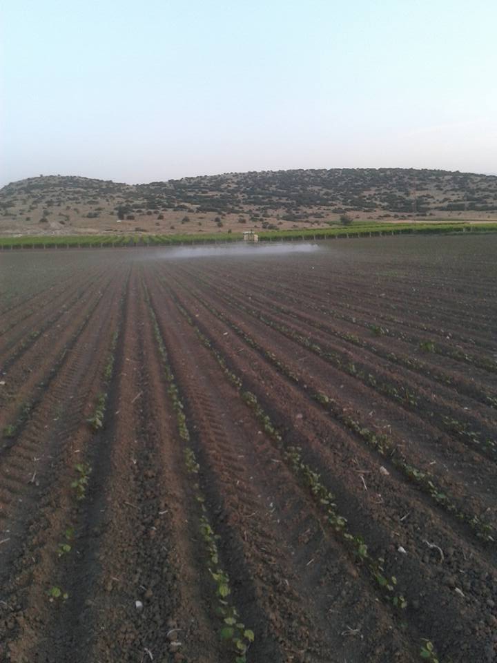 Akhisar Beyoba Köyü Resimleri 15