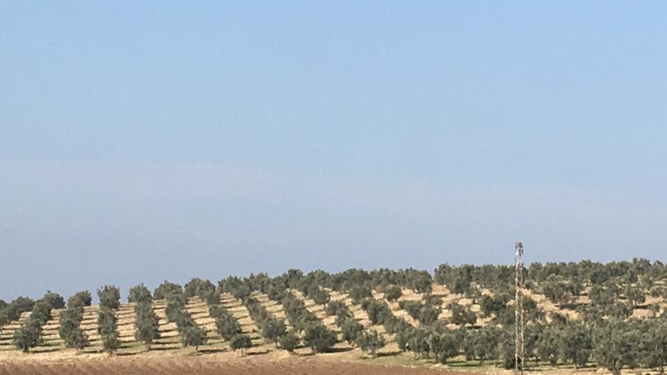 Akhisar Beyoba Köyü Resimleri 2