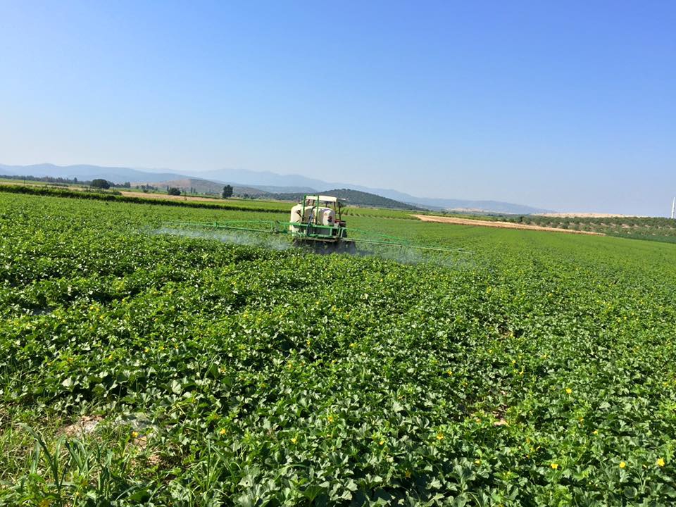 Akhisar Beyoba Köyü Resimleri 6