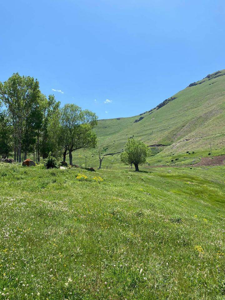 Tuzluca Çiçekli Köyü Resimleri 4