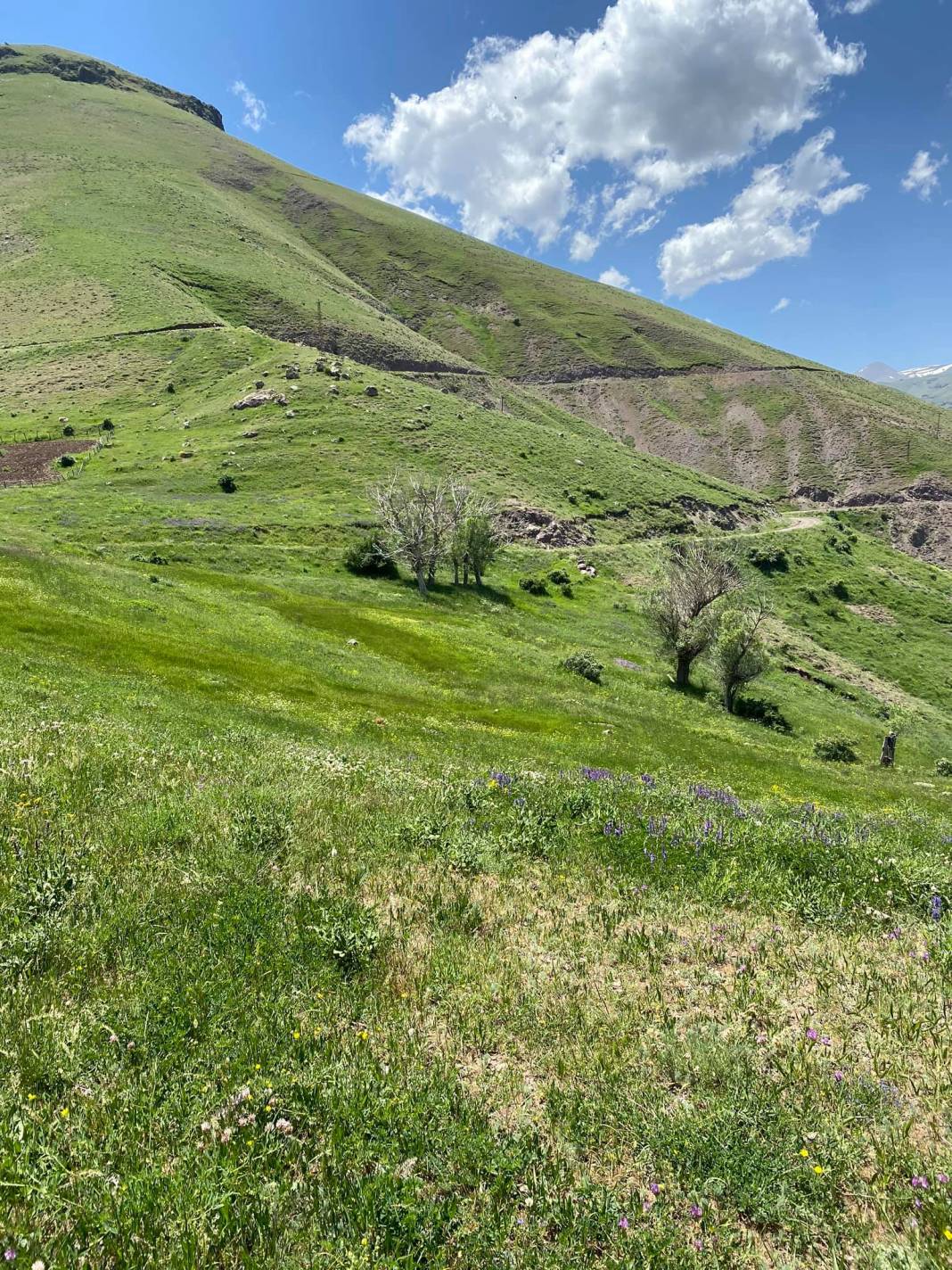 Tuzluca Çiçekli Köyü Resimleri 7
