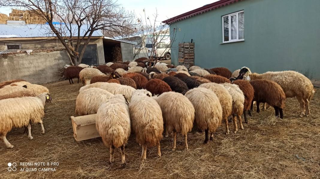 Tuzluca Eğrekdere Köyü Resimleri 5