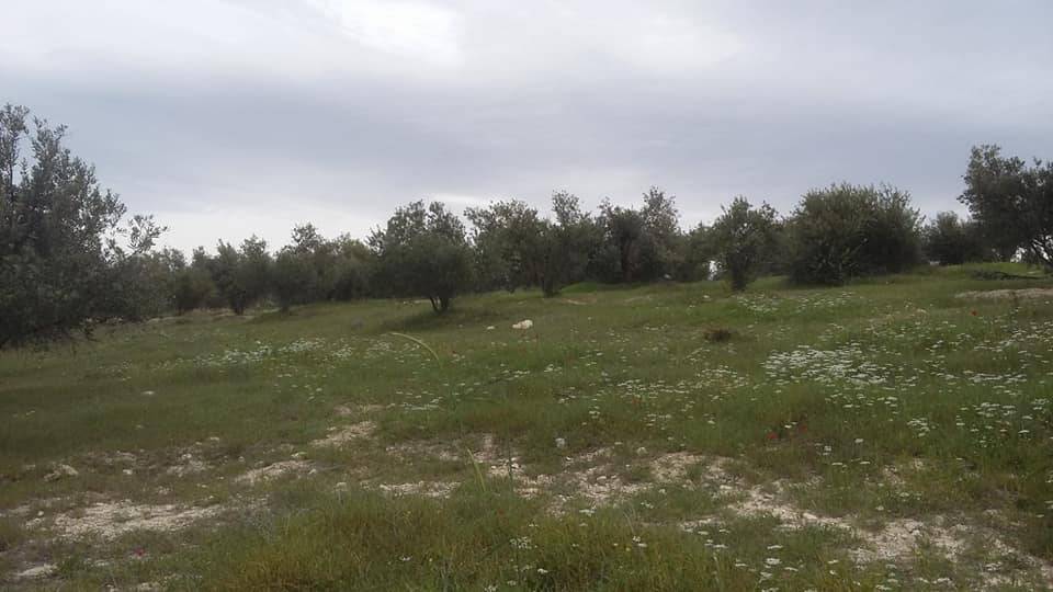 Mut Çağlayangedik Köyü Resimleri 10