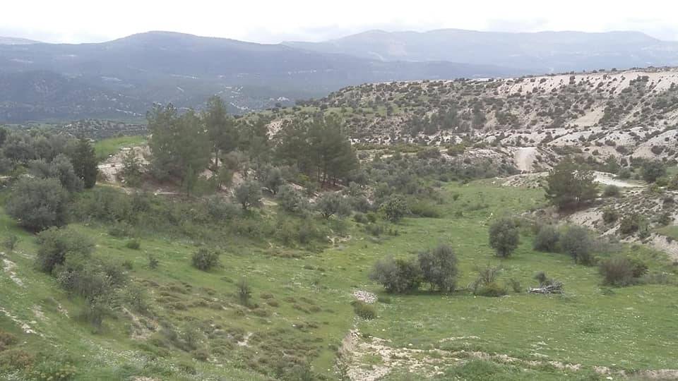 Mut Çağlayangedik Köyü Resimleri 6