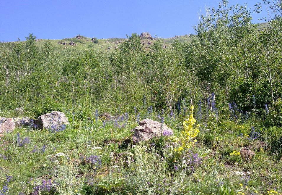 Ardahan Dağevi Köyü Resimleri 4