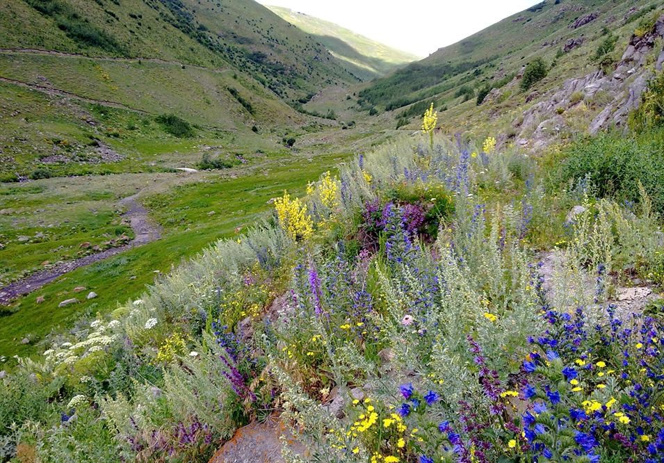 Ardahan Dağevi Köyü Resimleri 5