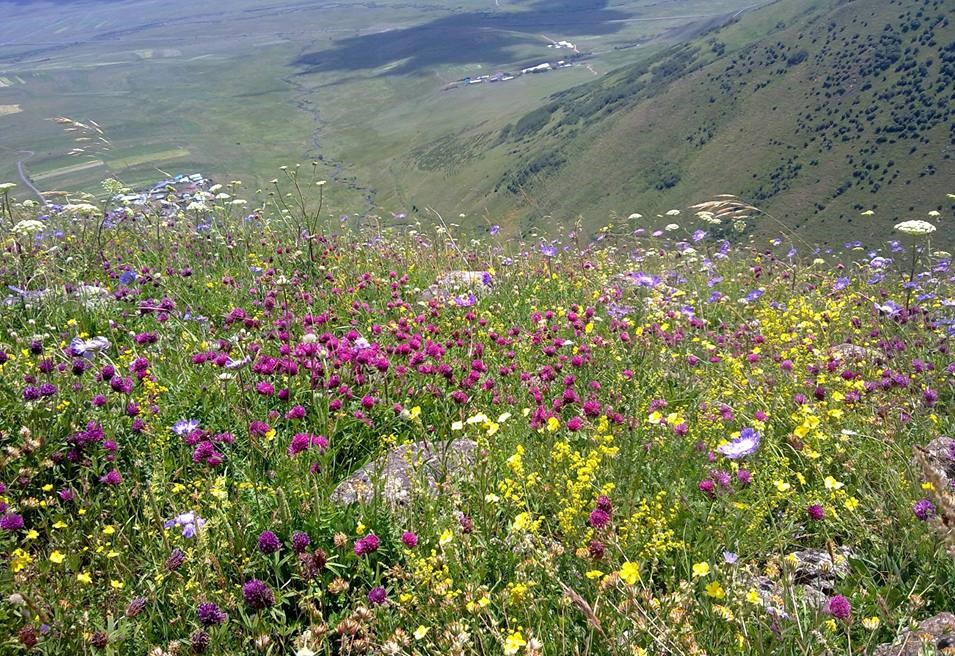 Ardahan Dağevi Köyü Resimleri 6
