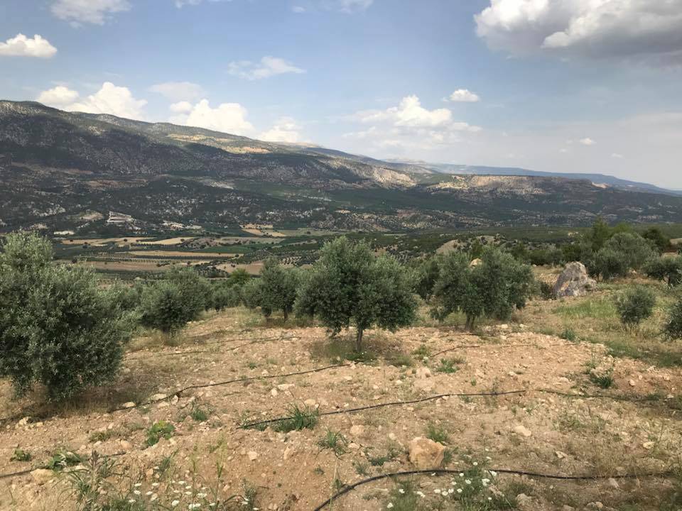 Mut Çampınar Köyü Resimleri 6