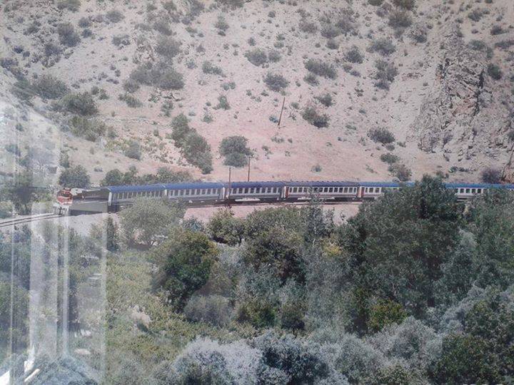 Şefaatli Saçlı Köyü Resimleri 4