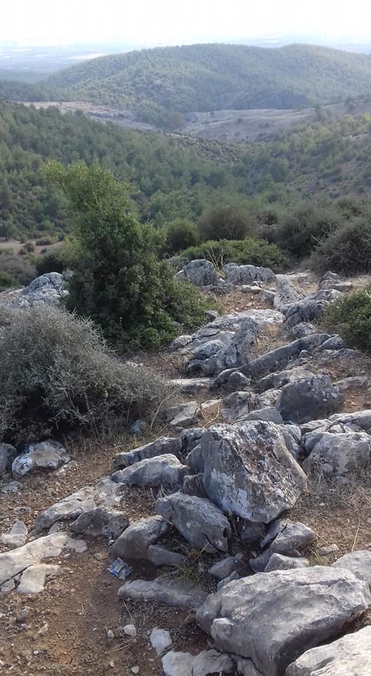 Akhisar Boyalılar Köyü Resimleri 10