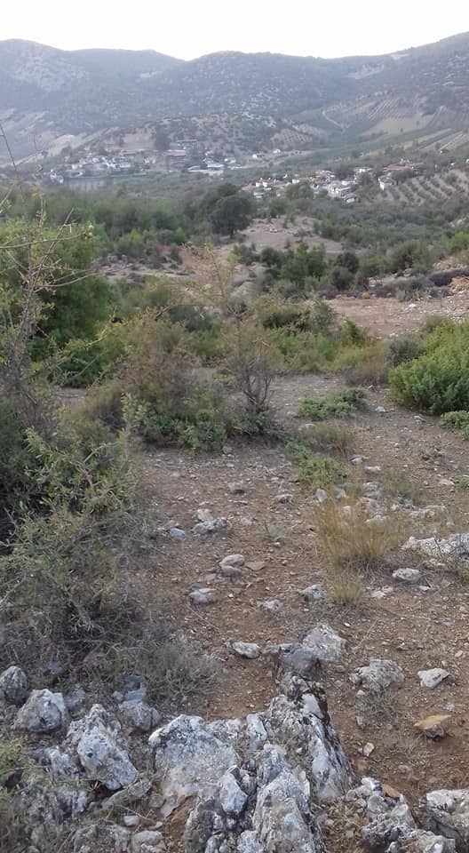 Akhisar Boyalılar Köyü Resimleri 11