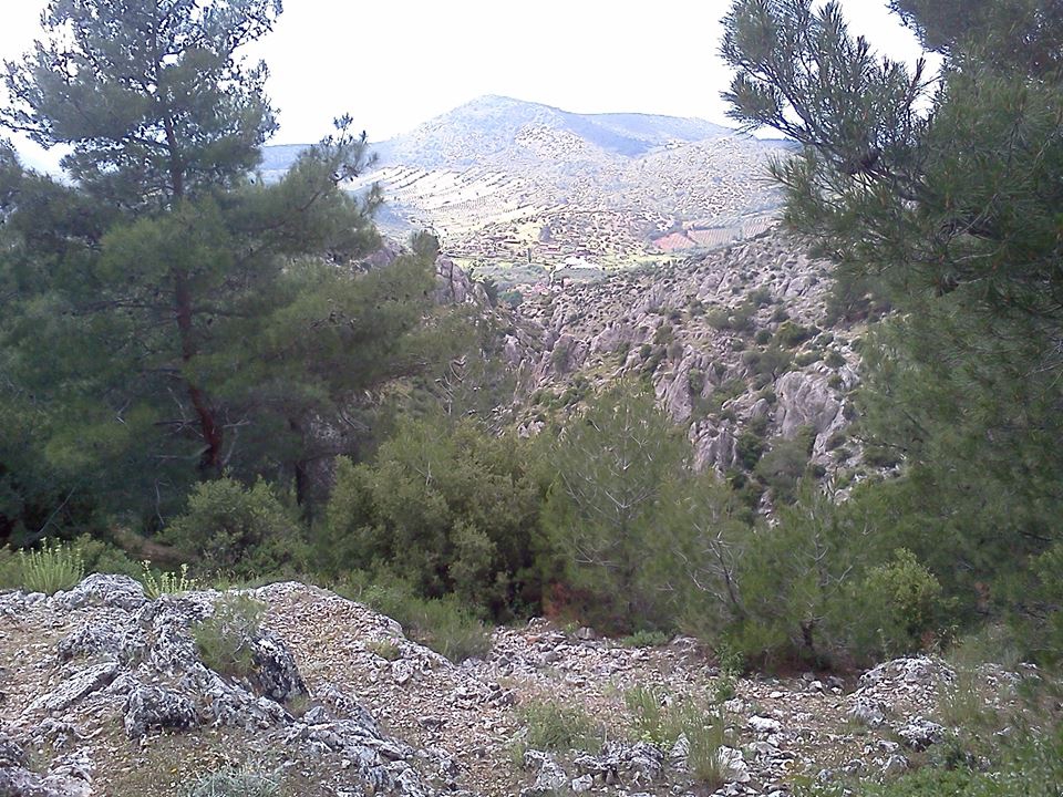 Akhisar Boyalılar Köyü Resimleri 12