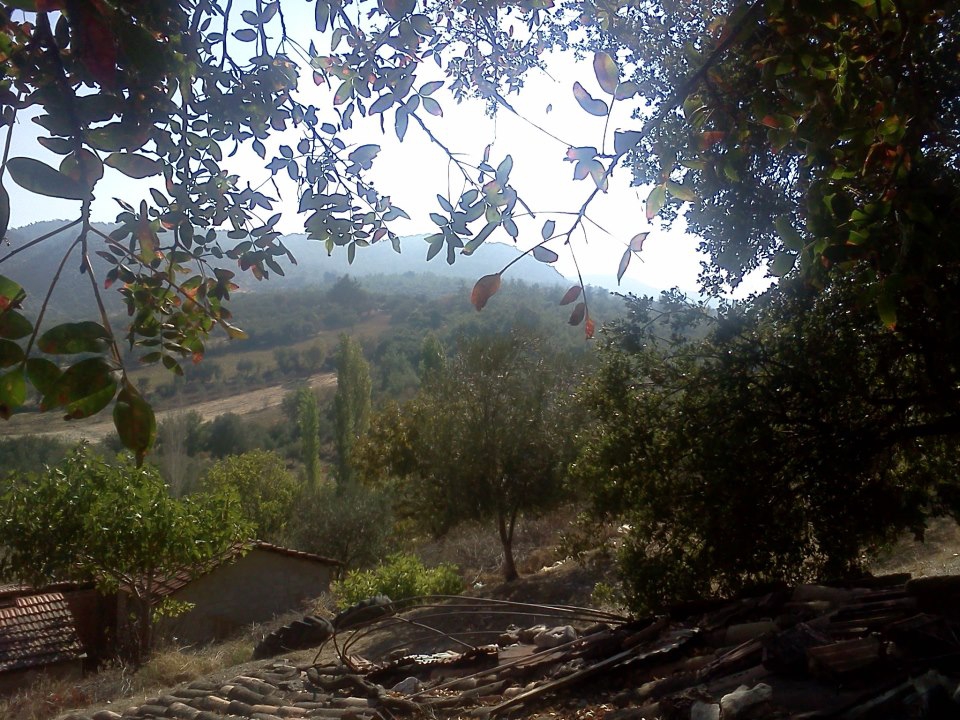 Akhisar Boyalılar Köyü Resimleri 3