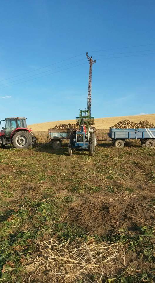 Şefaatli Tahiroğlu Köyü Resimleri 3