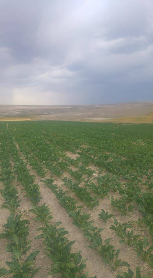 Yenifakılı Fehimli Köyü Resimleri 4