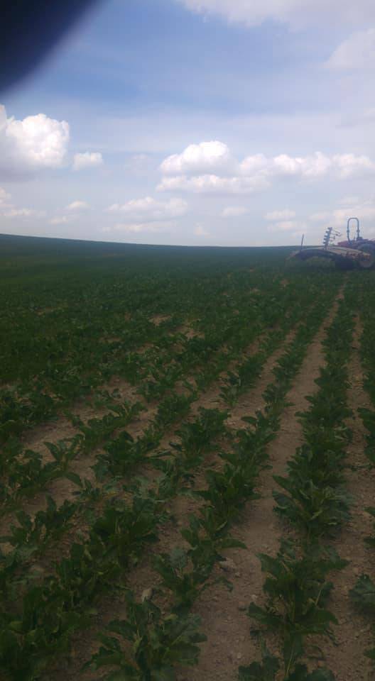 Yenifakılı Fehimli Köyü Resimleri 5