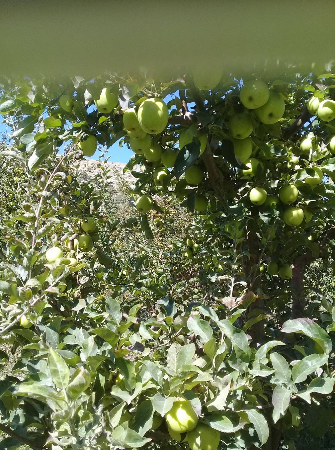 Mut Çivi Köyü Resimleri 6