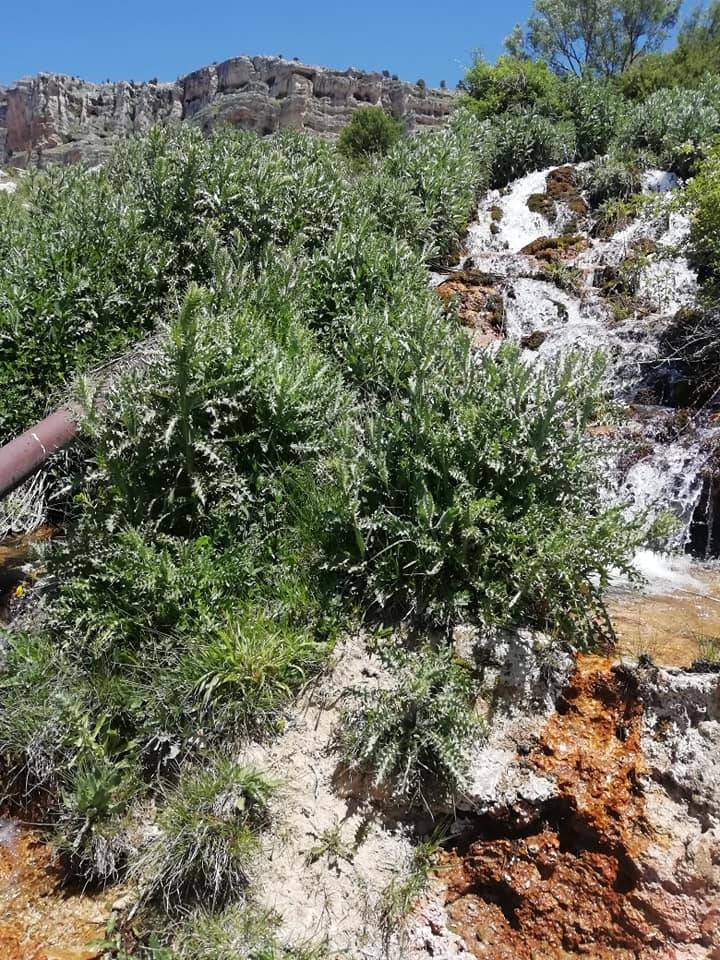 Mut Çivi Köyü Resimleri 9